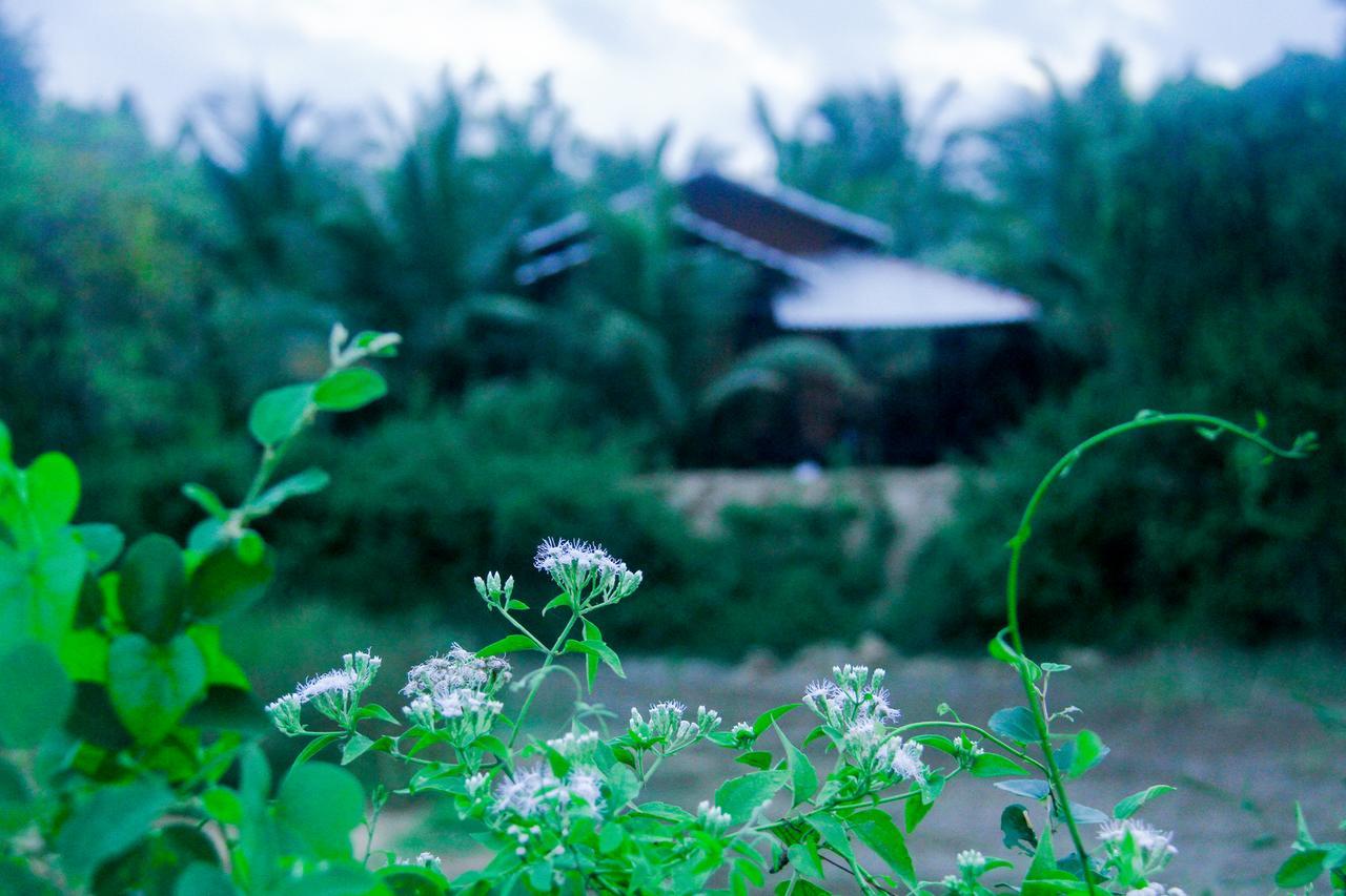 Yalaway Nature Villa تيساماهاراما المظهر الخارجي الصورة
