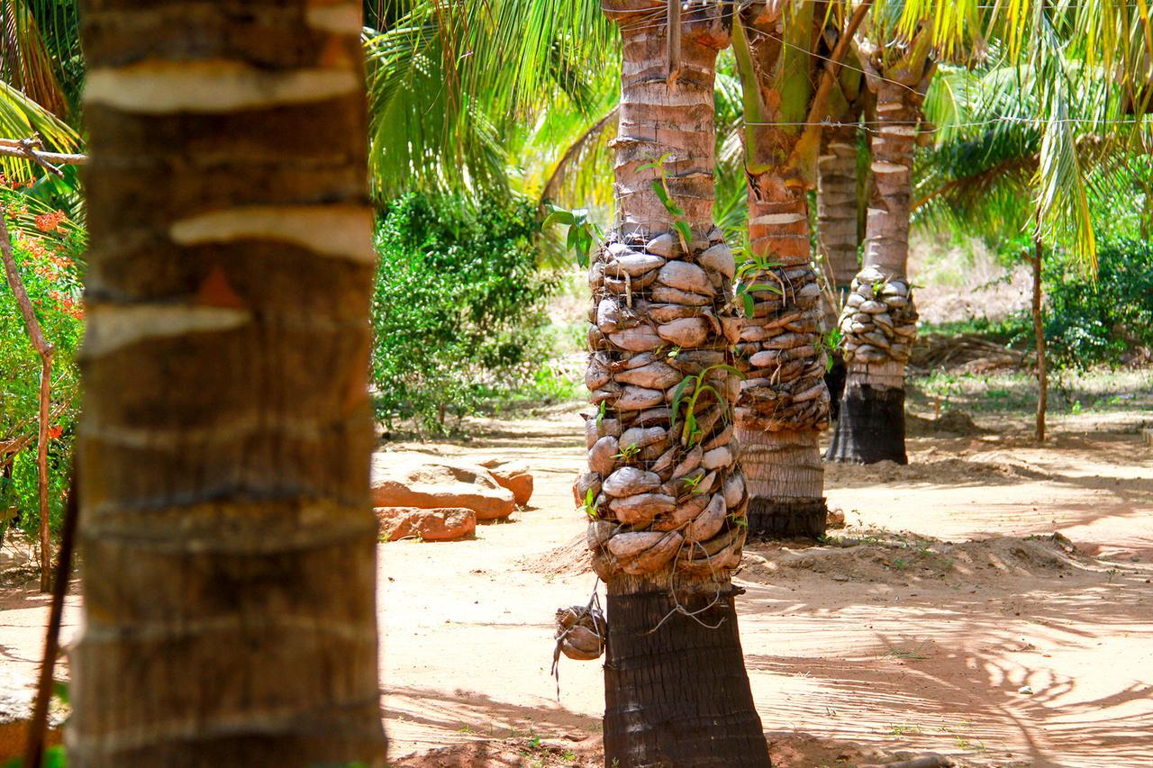 Yalaway Nature Villa تيساماهاراما المظهر الخارجي الصورة
