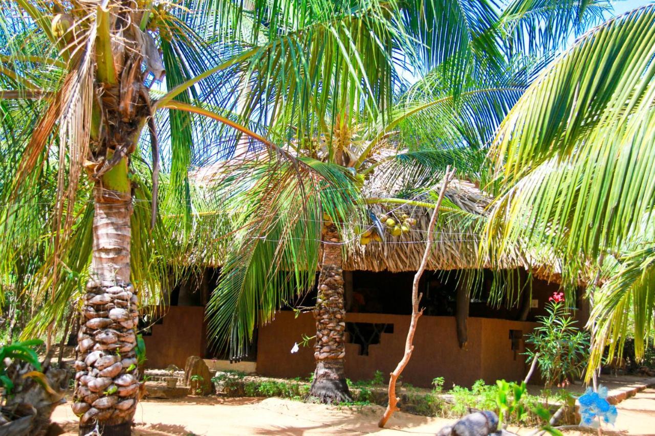 Yalaway Nature Villa تيساماهاراما المظهر الخارجي الصورة